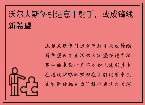 沃尔夫斯堡引进意甲射手，或成锋线新希望